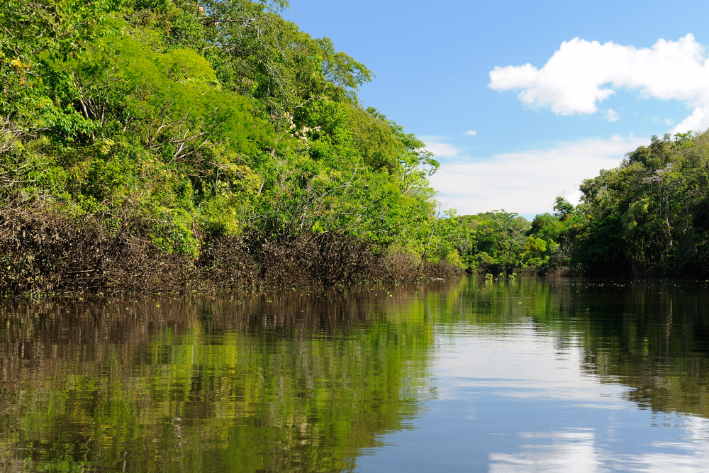 Rzeka w kolumbijskej Amazonii
